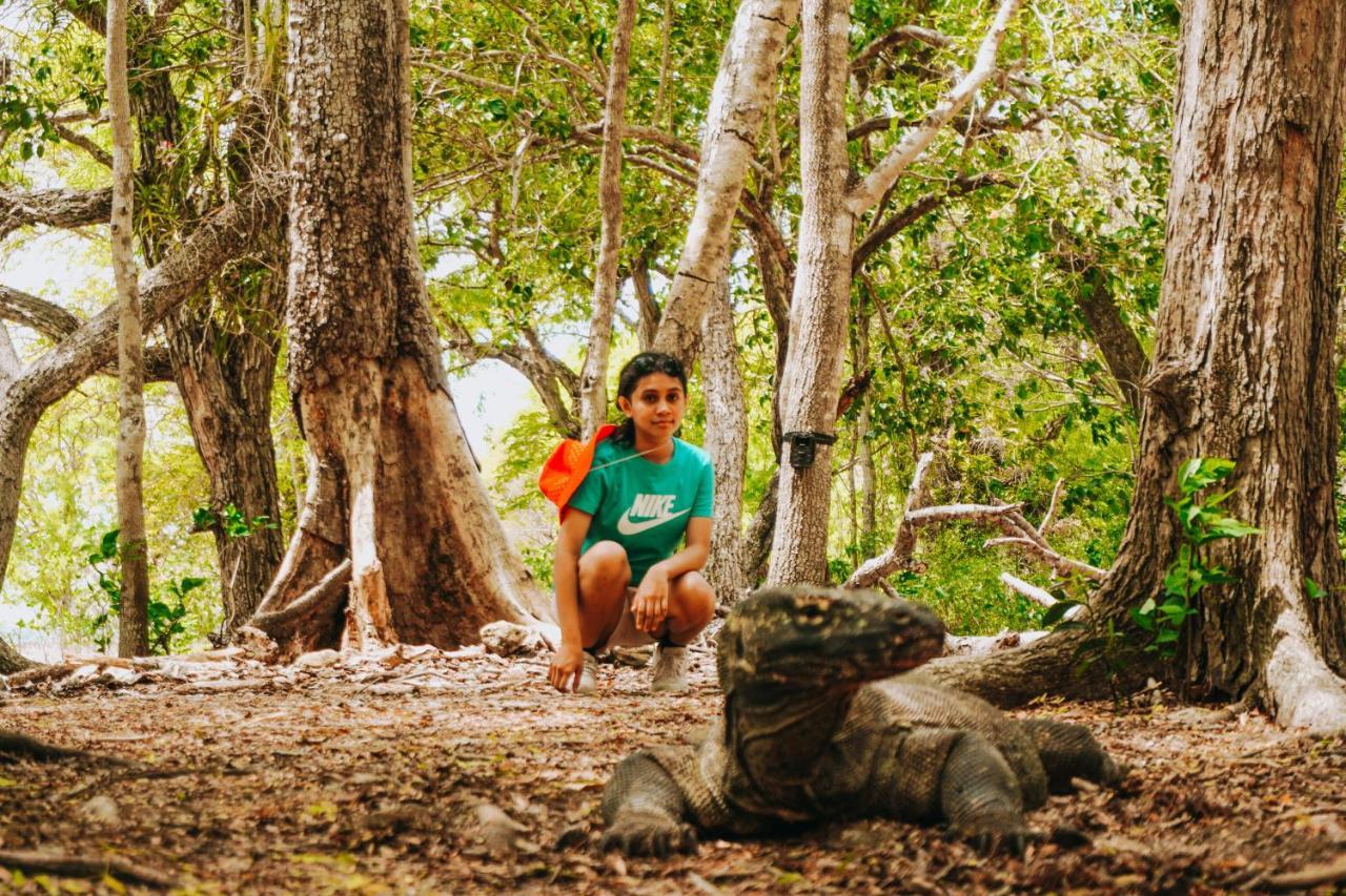Komodoku One Love Homestay And Tour Labuan Bajo Dış mekan fotoğraf