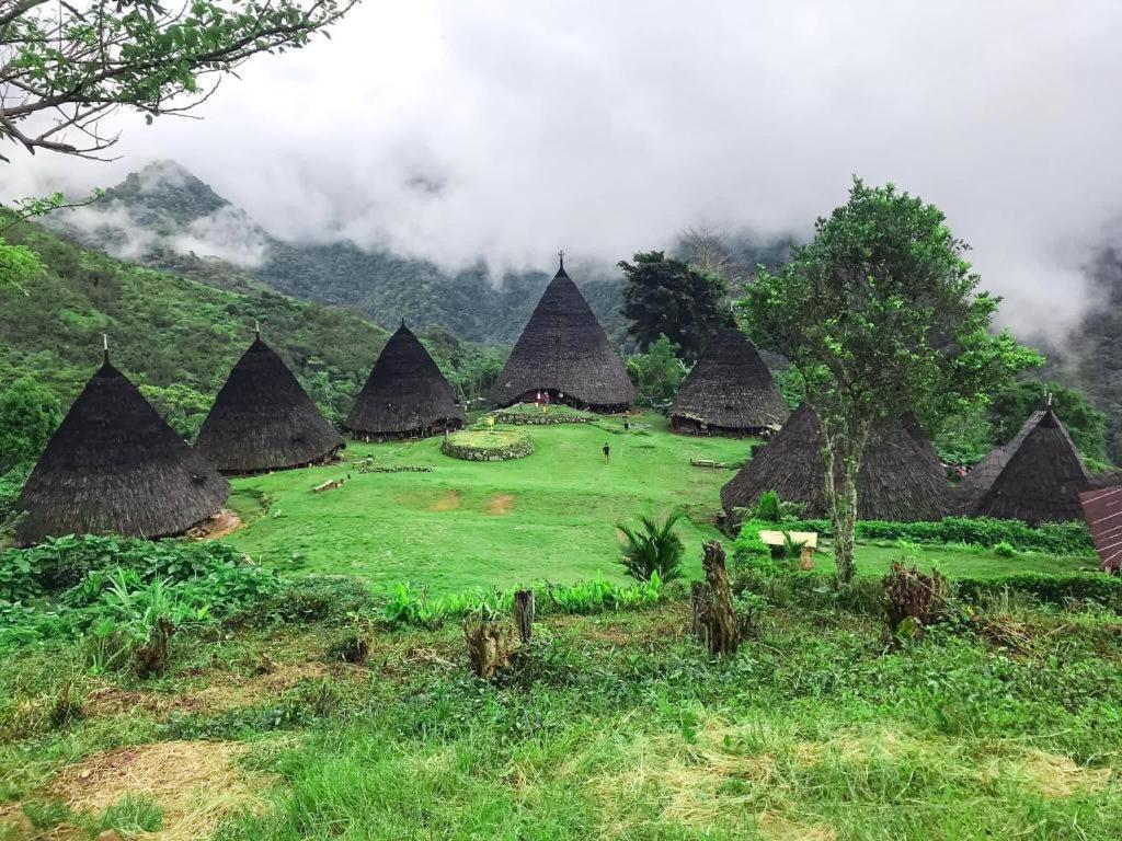 Komodoku One Love Homestay And Tour Labuan Bajo Dış mekan fotoğraf